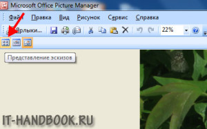 Режим эскизов в Microsoft Office Picture Manager