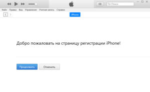 iTunes - страница регистрации iPhone